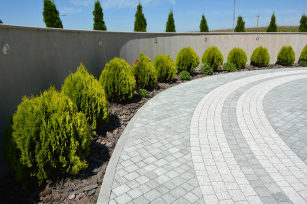 Best Concrete Paver Driveway  in Ranger, TX